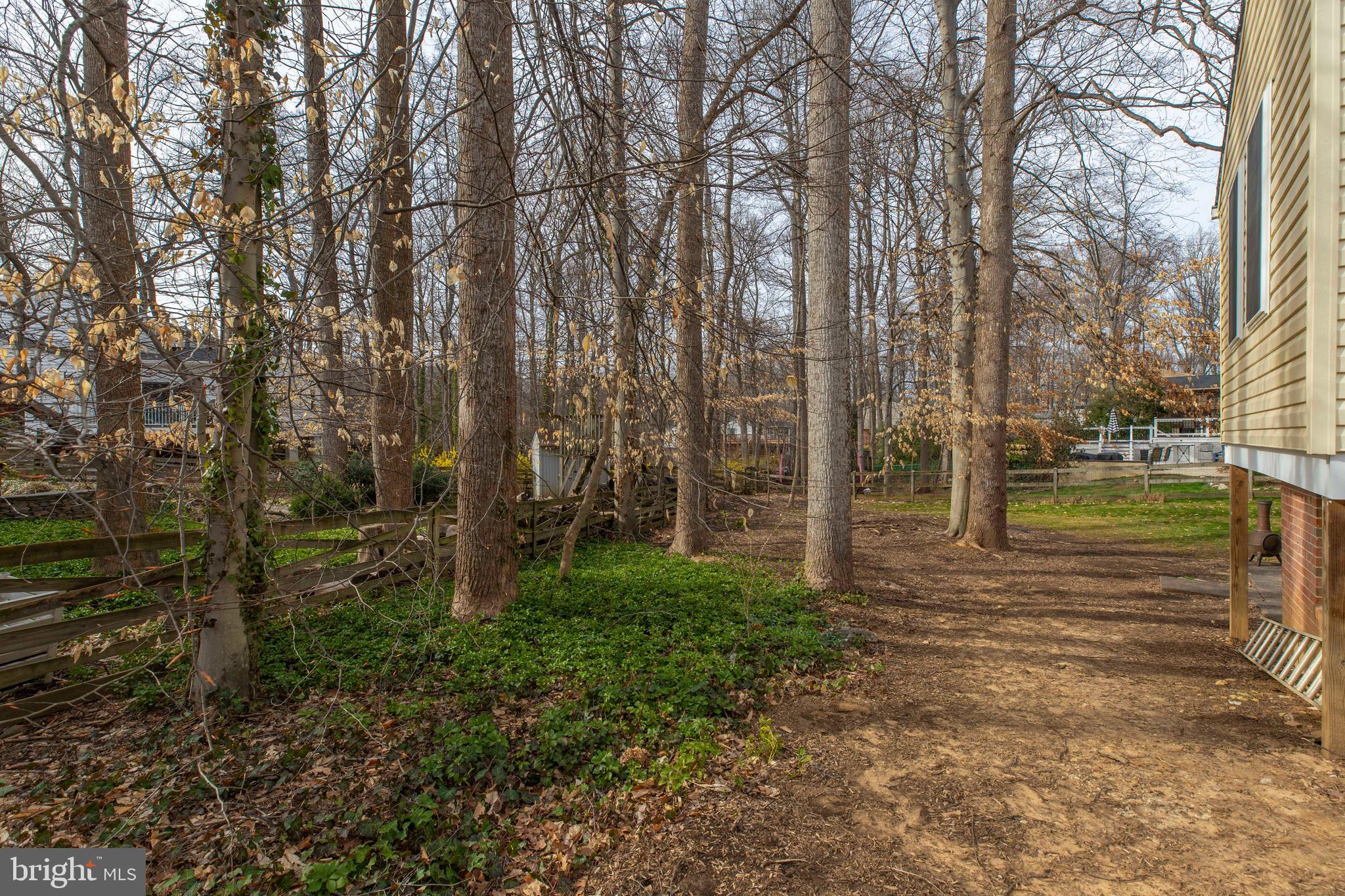 RED FOX FOREST - Residential