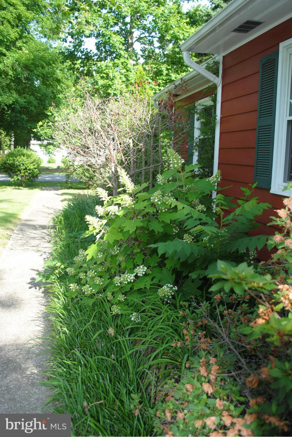 TOWN CREEK - Residential Lease