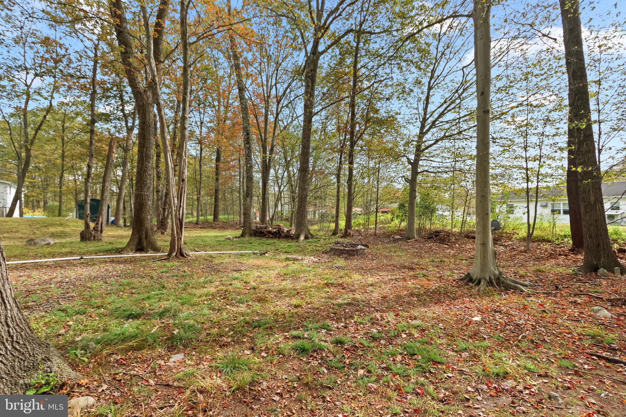MUSHROOM FARMS - Residential