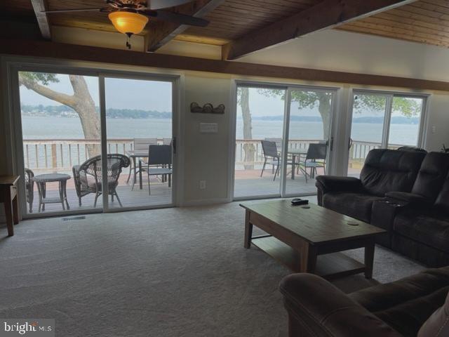 WILLOUGHBY BEACH - Residential