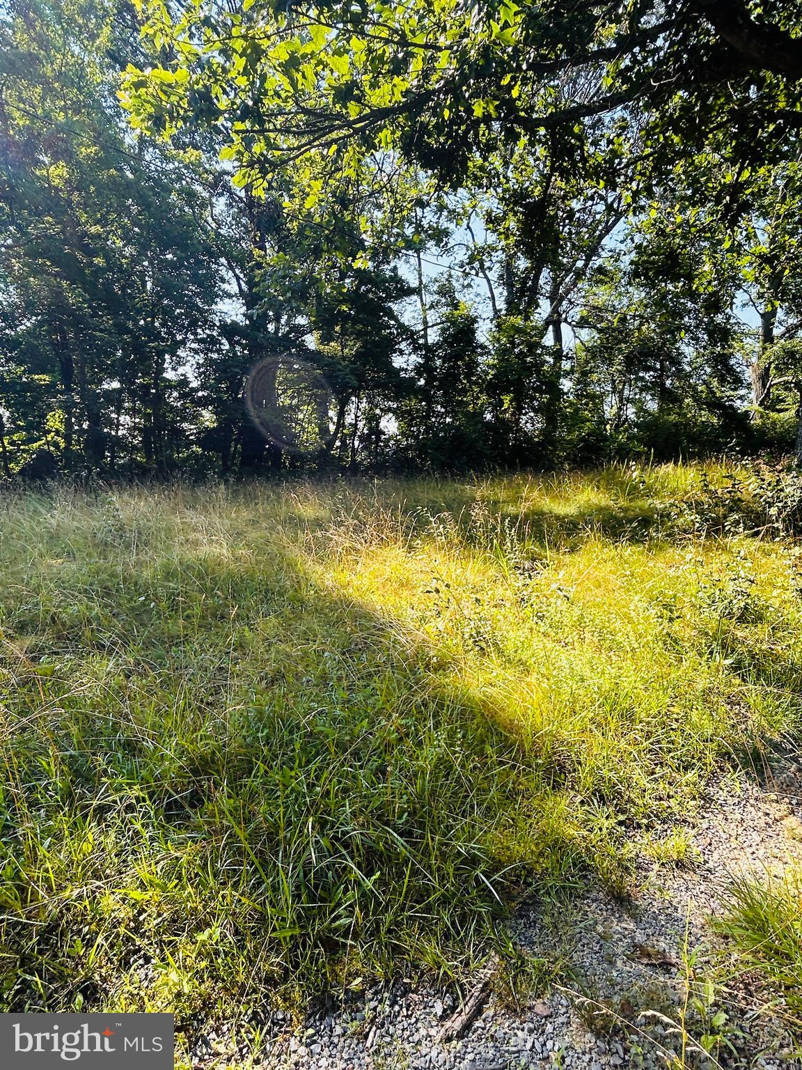 CAPON BRIDGE - Residential