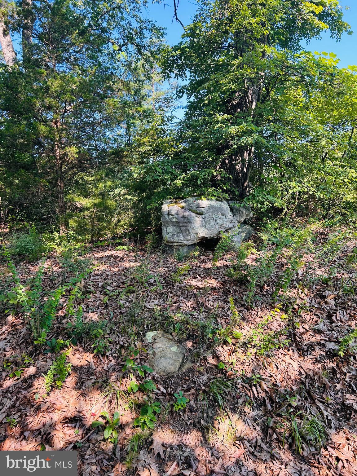CAPON BRIDGE - Residential