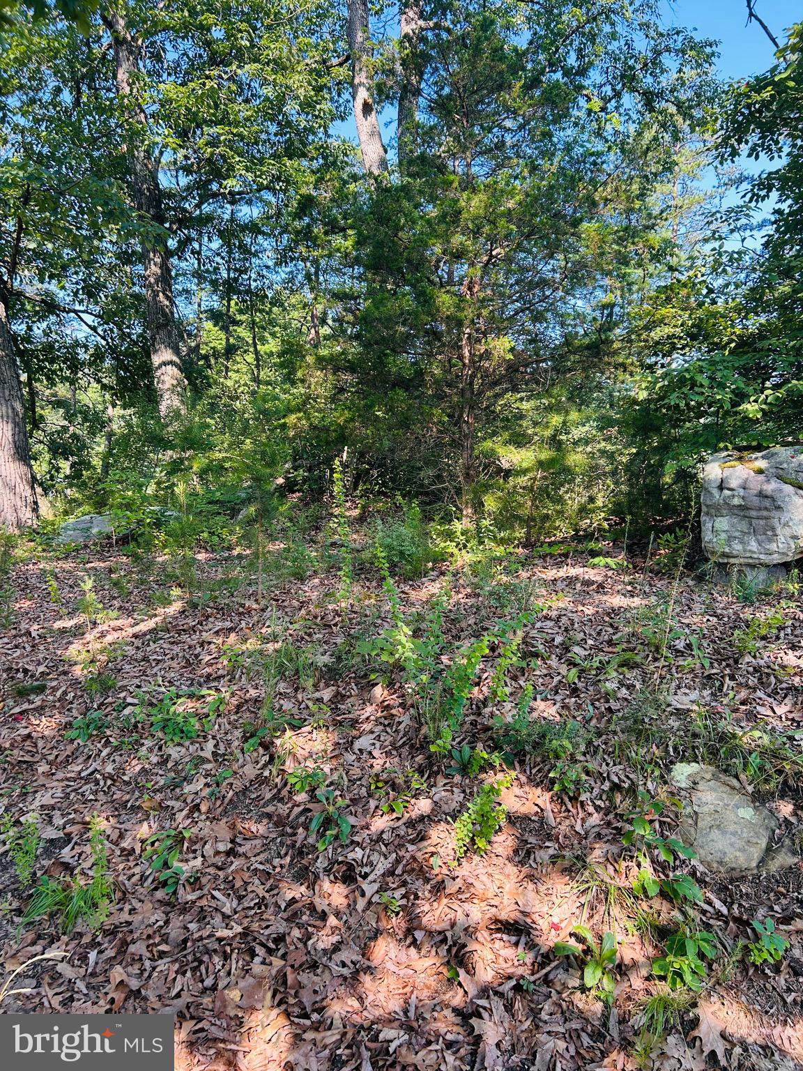 CAPON BRIDGE - Residential