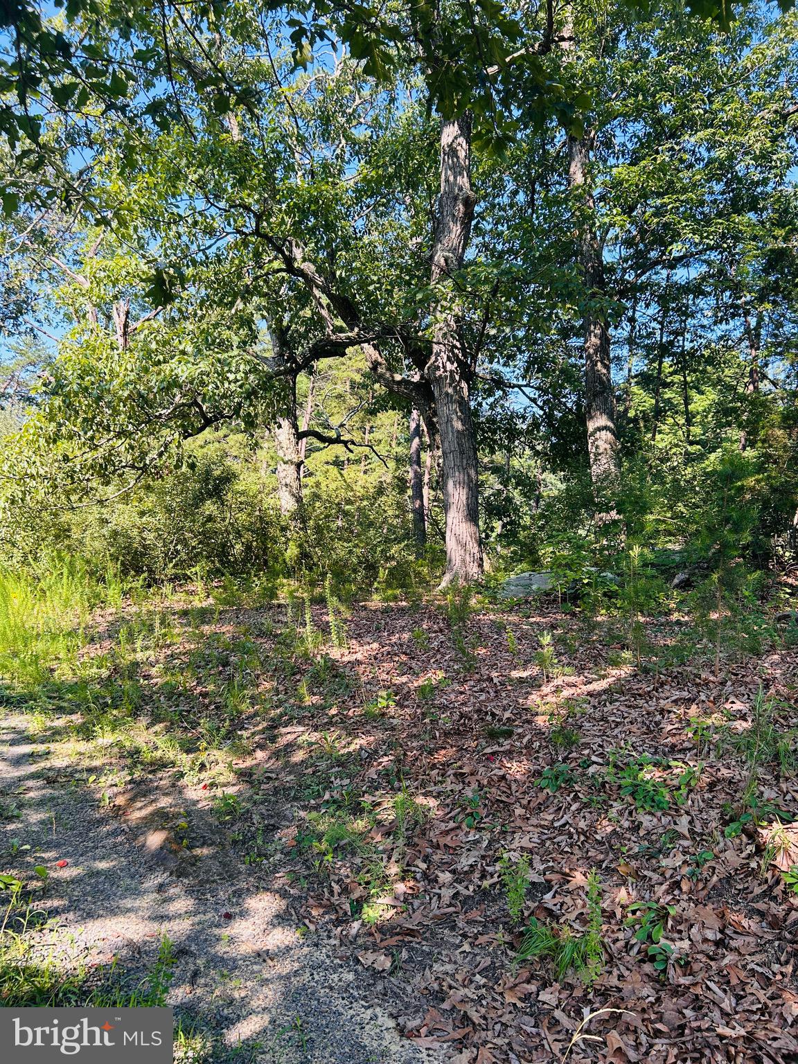 CAPON BRIDGE - Residential