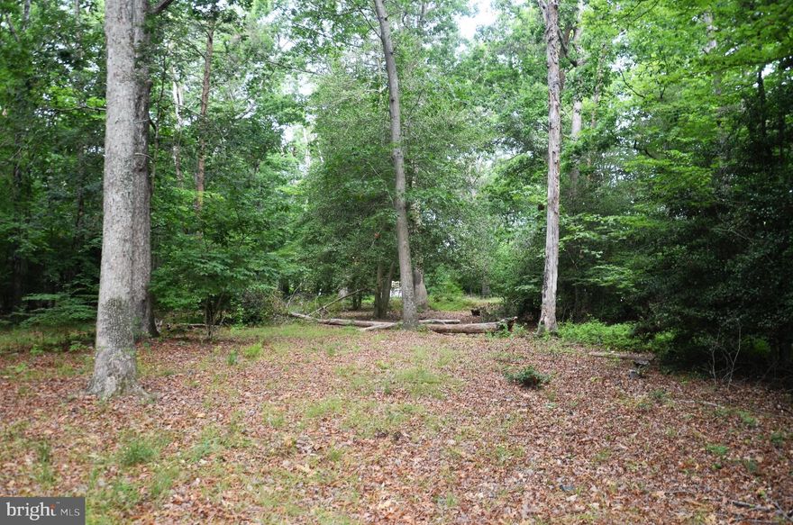 This private 1.7 acre wooded lot backing to a .64 acre tree preserve area is a fabulous opportunity to build your dream home and enjoy privacy and country living, feeling miles away from the hustle and bustle, yet be conveniently located to military bases and Washington DC Metro area! Just minutes to shopping and dining, with easy access to major commuting routes, National Harbor/MGM, amazing local parklands and so much more!