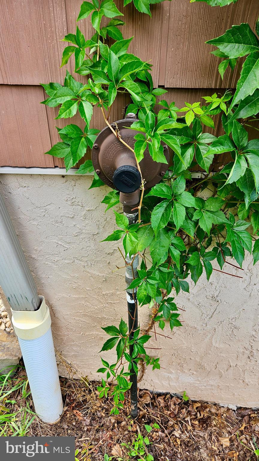 EAGLE'S ROOST - Residential