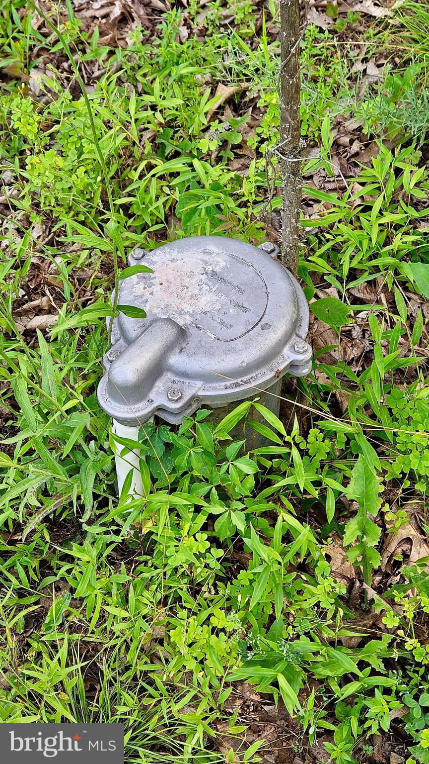 EAGLE'S ROOST - Residential