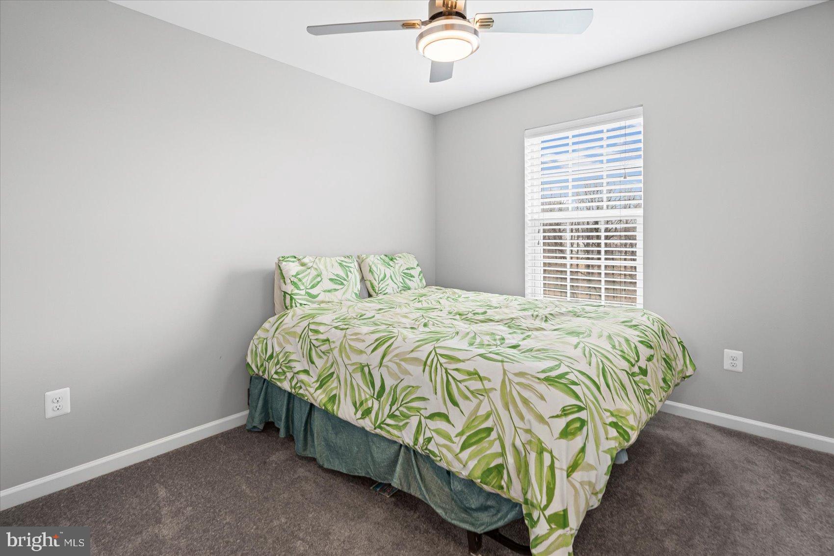 BALLARD GREEN - Residential