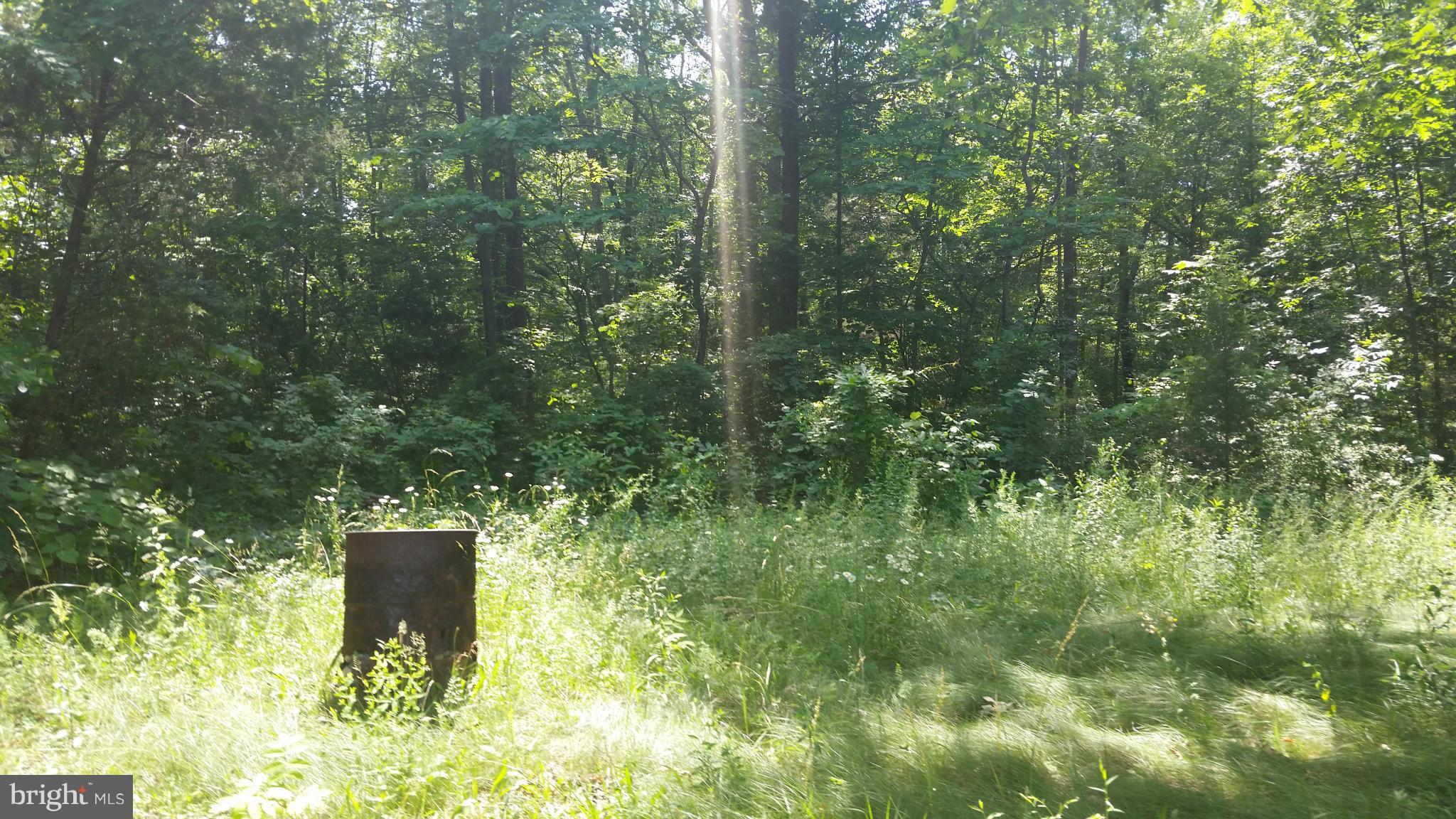 DUVAL ESTATES - Land