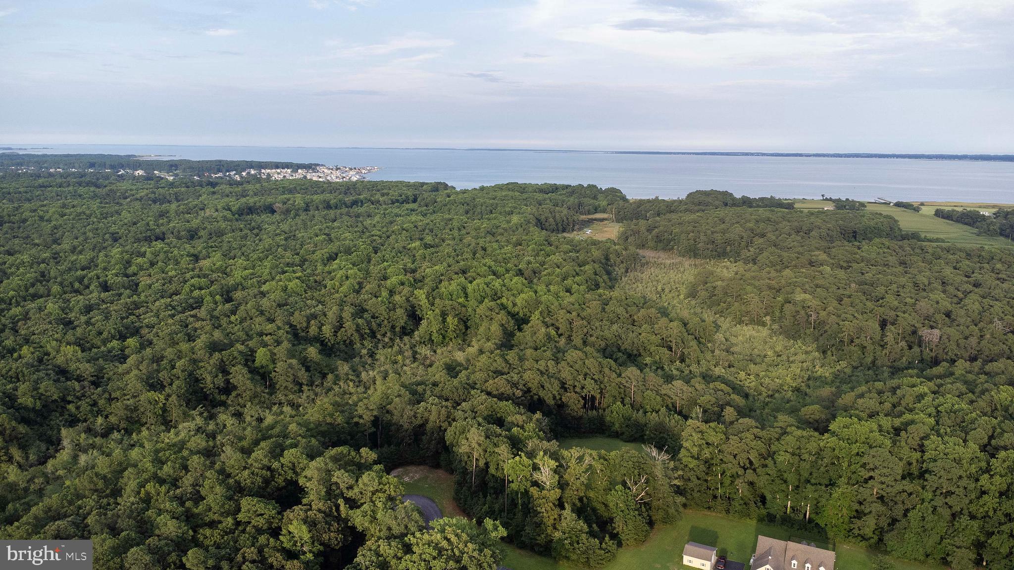 Lot 65 INDIGO LANE