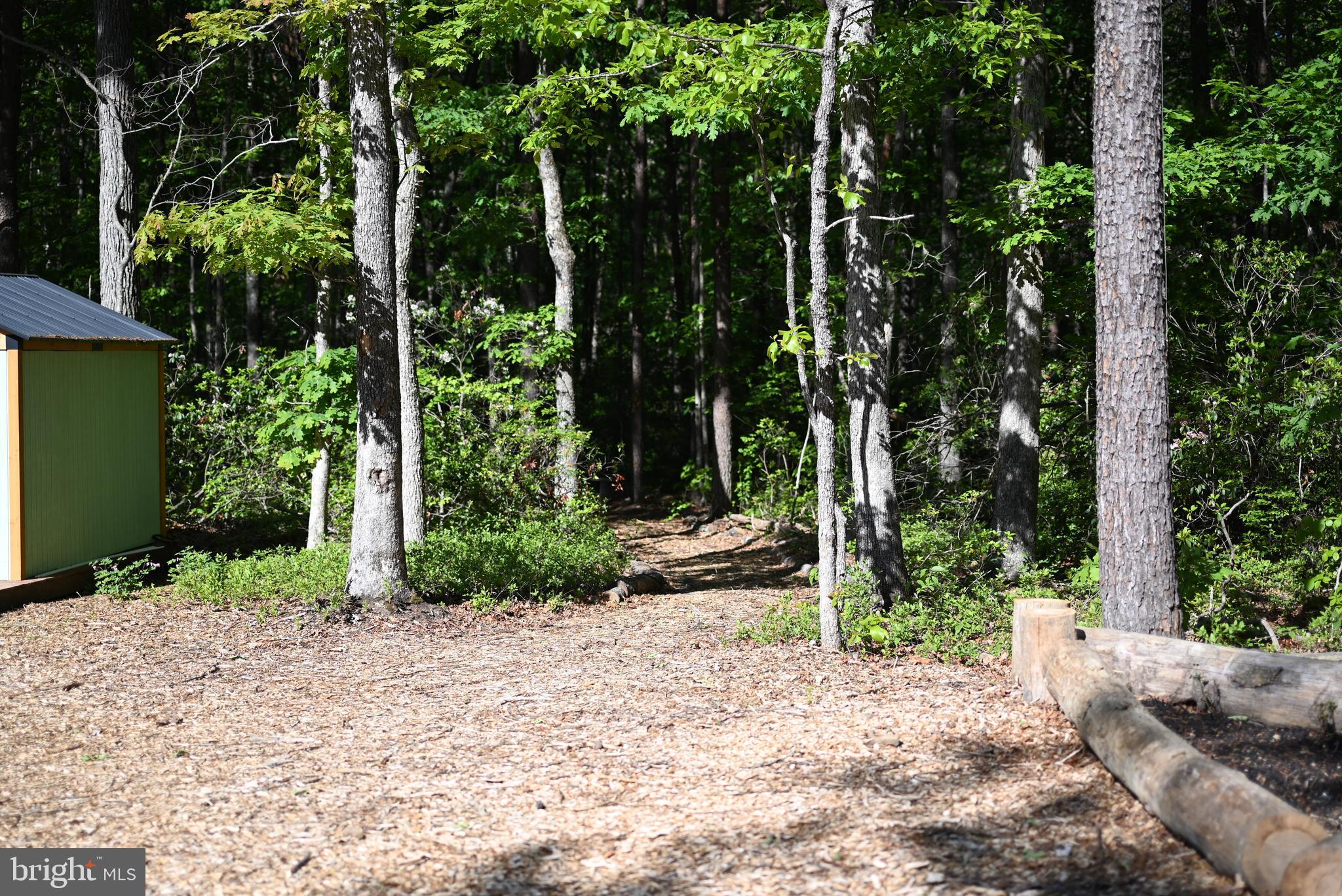13017 ORANGE PLANK ROAD