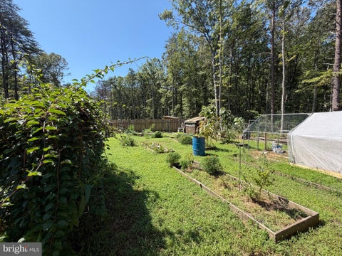Vacant Land For Sale - 13017 Orange Plank Road<br/> LOCUST GROVE, VA 22508