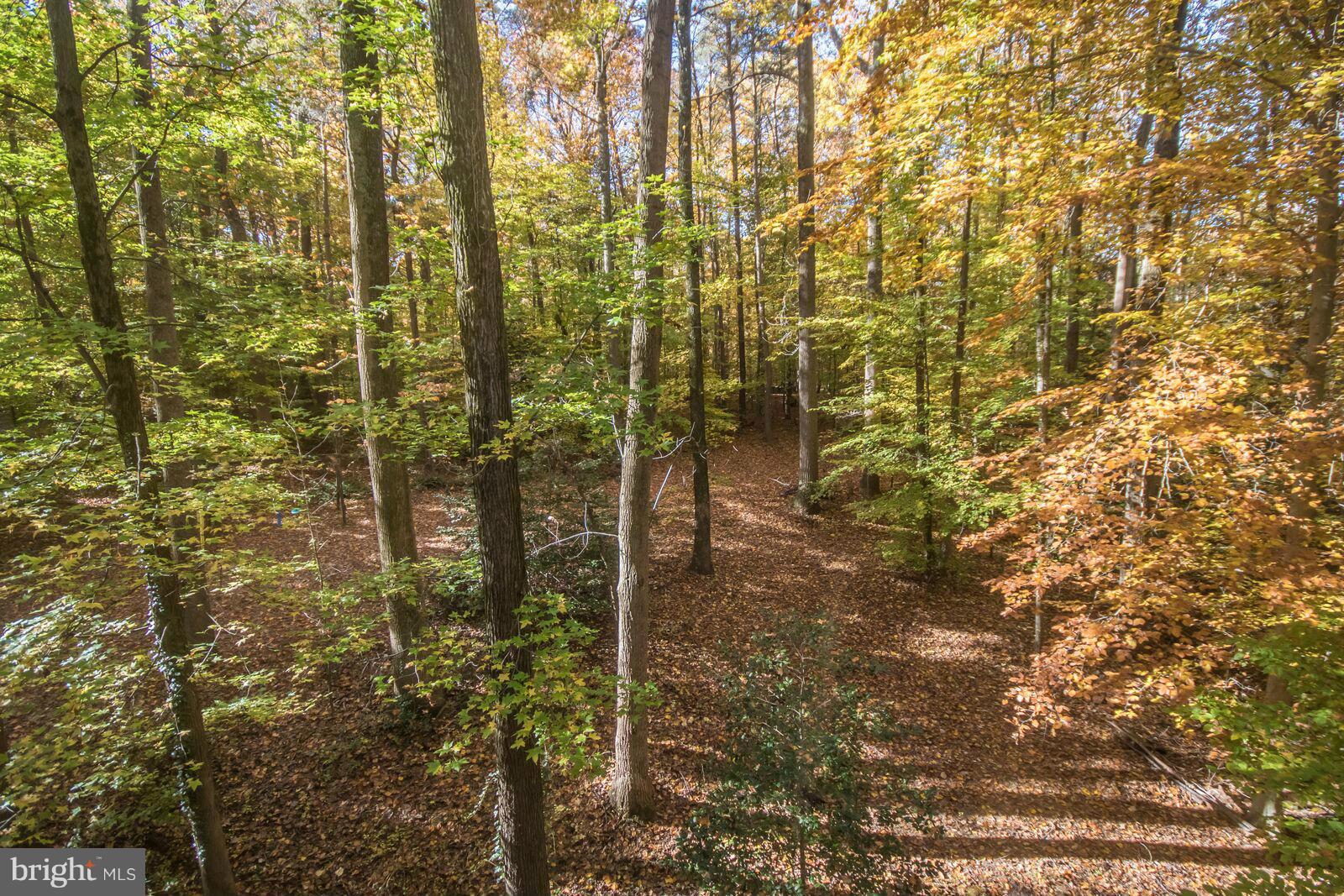 VALENTINE CREEK - Residential