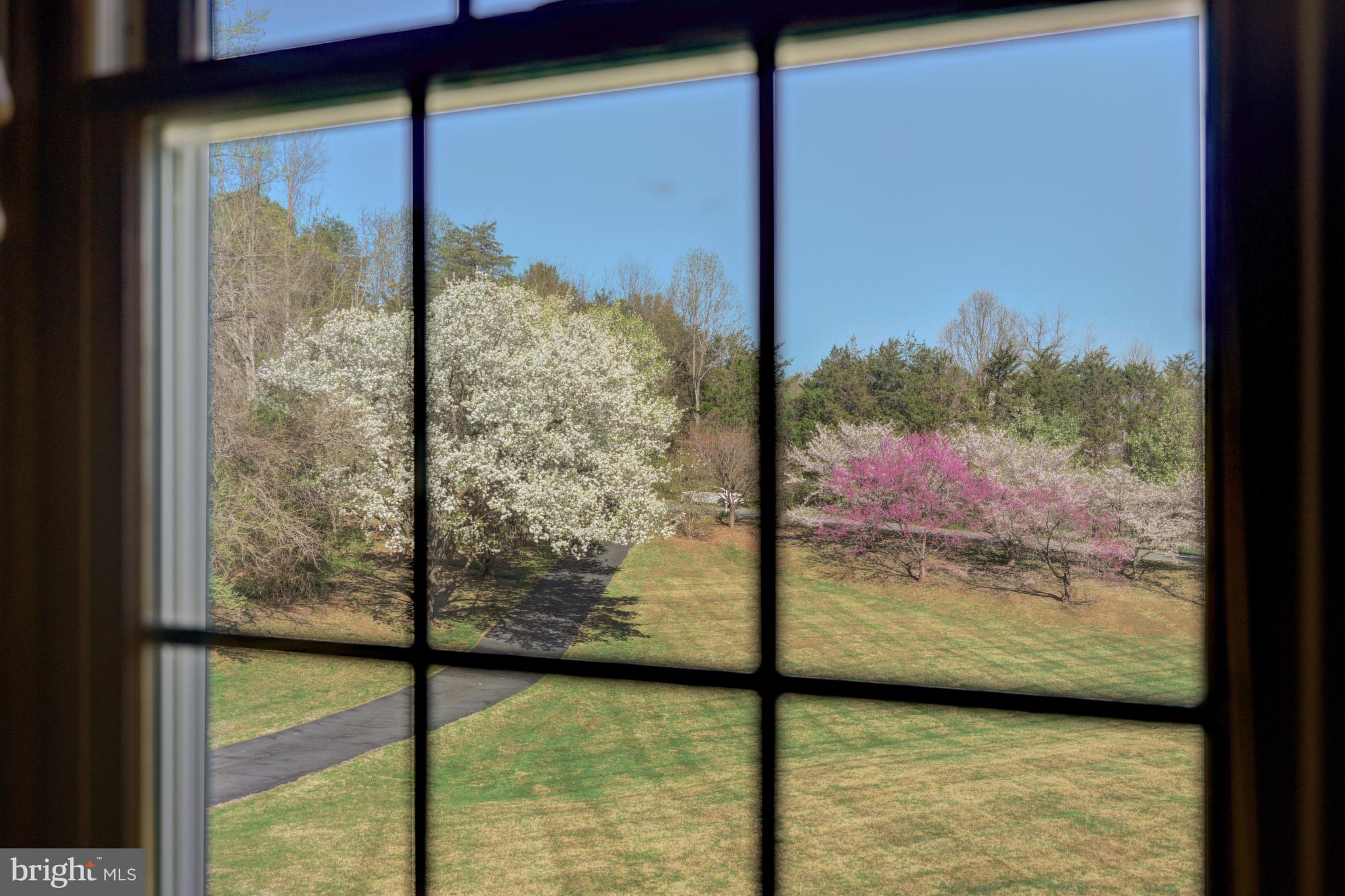 GREAT FALLS MEADOWS - Residential