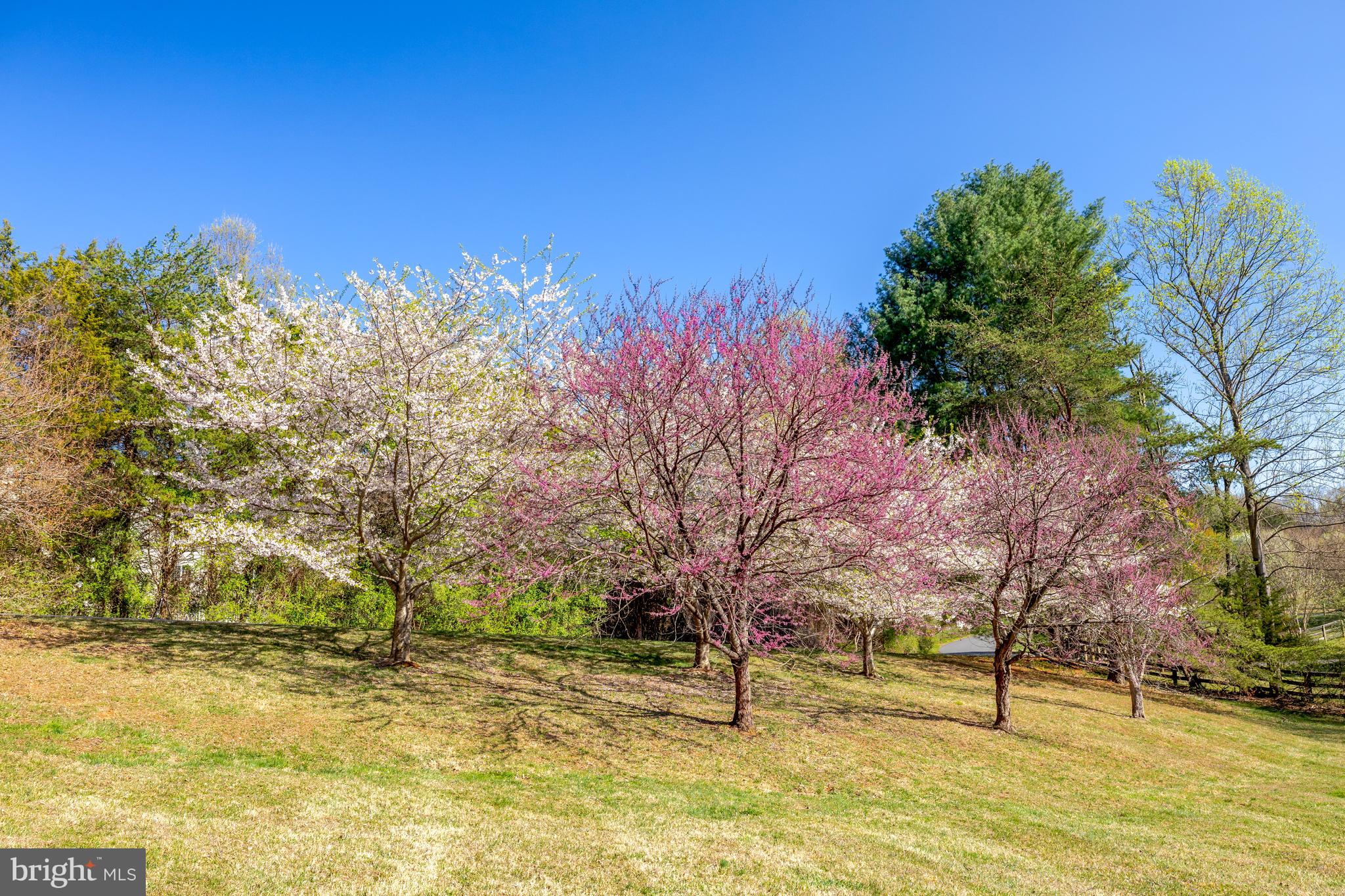 GREAT FALLS MEADOWS - Residential