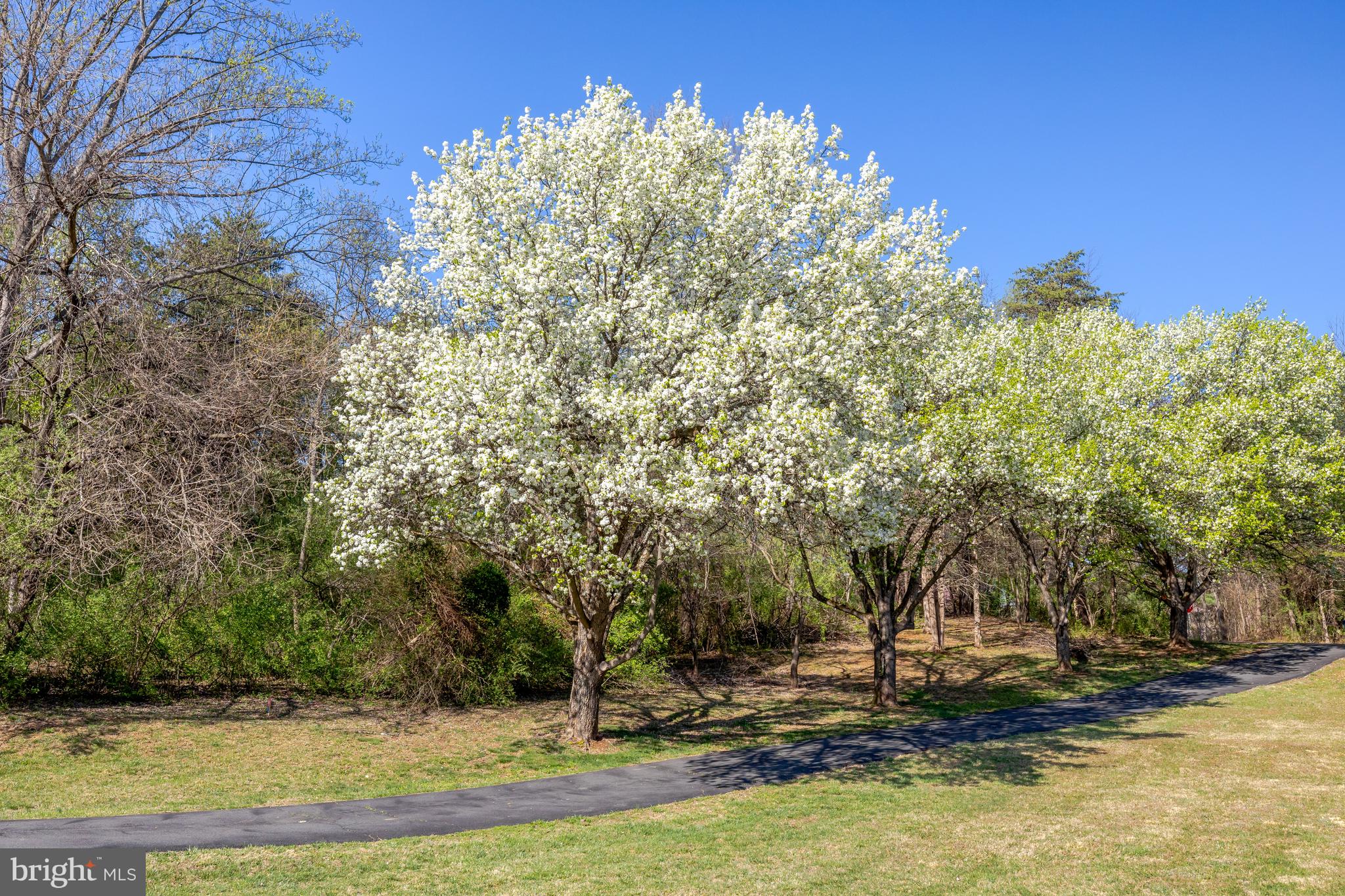 GREAT FALLS MEADOWS - Residential