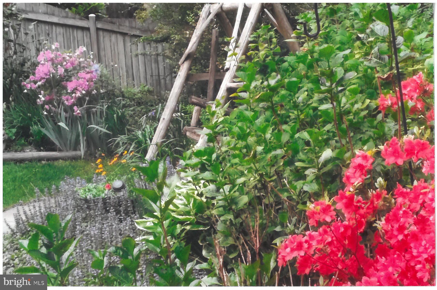 SEMINARY RIDGE - Residential