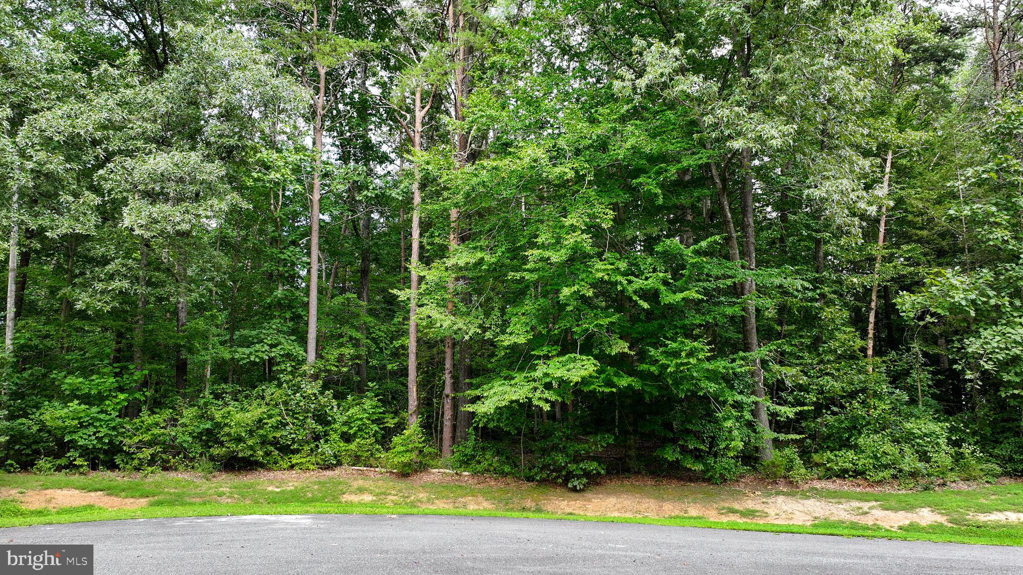7315 SUGAR HOLLOW ROAD