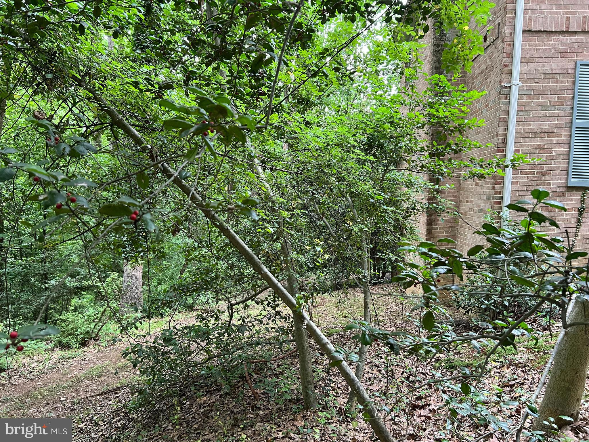 WOODHAVEN - Residential