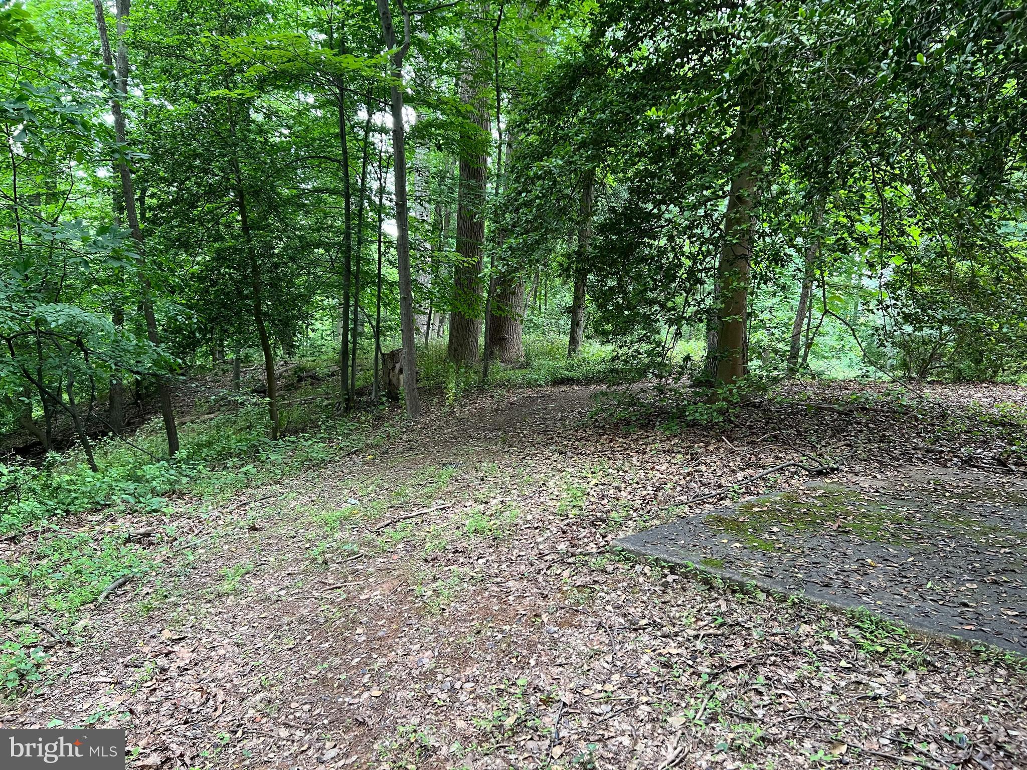 WOODHAVEN - Residential