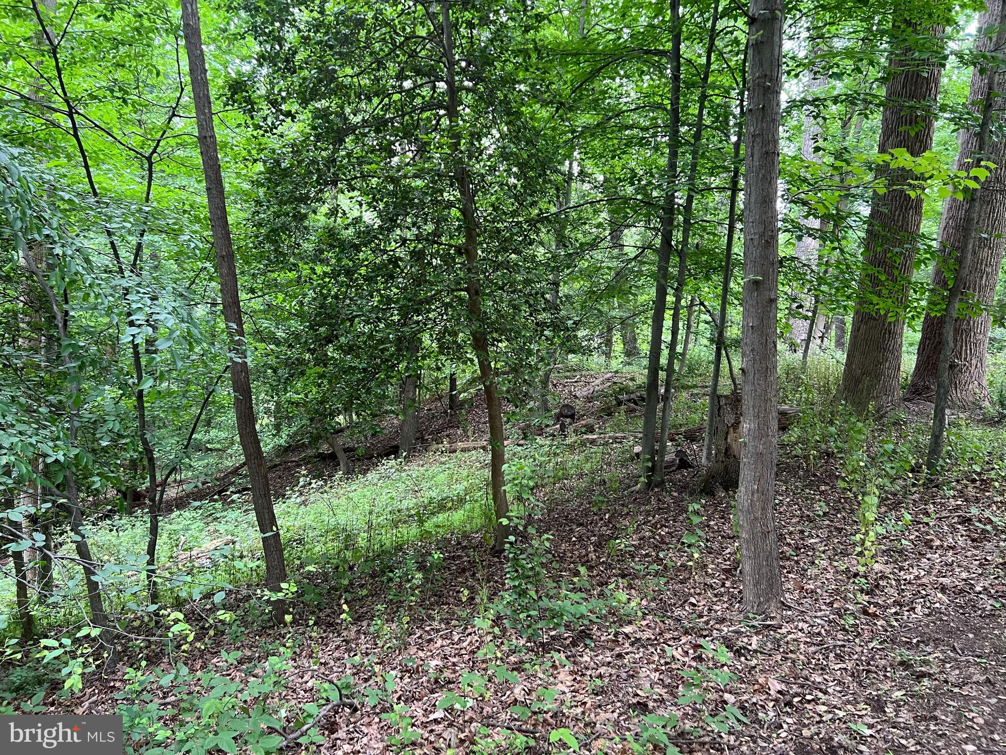 WOODHAVEN - Residential