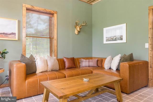 MASSANUTTEN - Residential