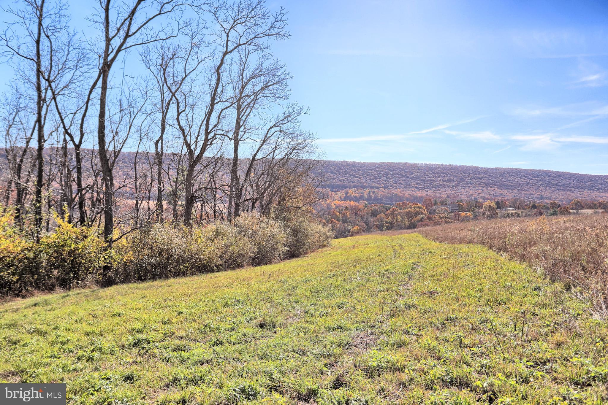 NONE AVAILABLE - Land