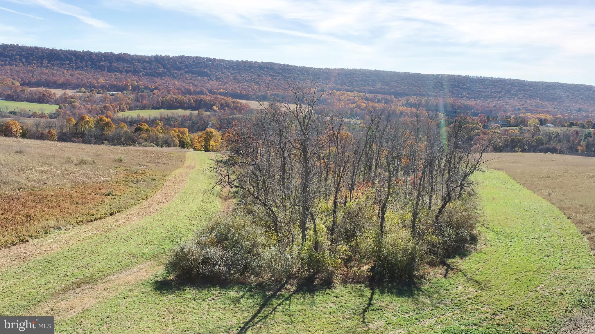 NONE AVAILABLE - Land