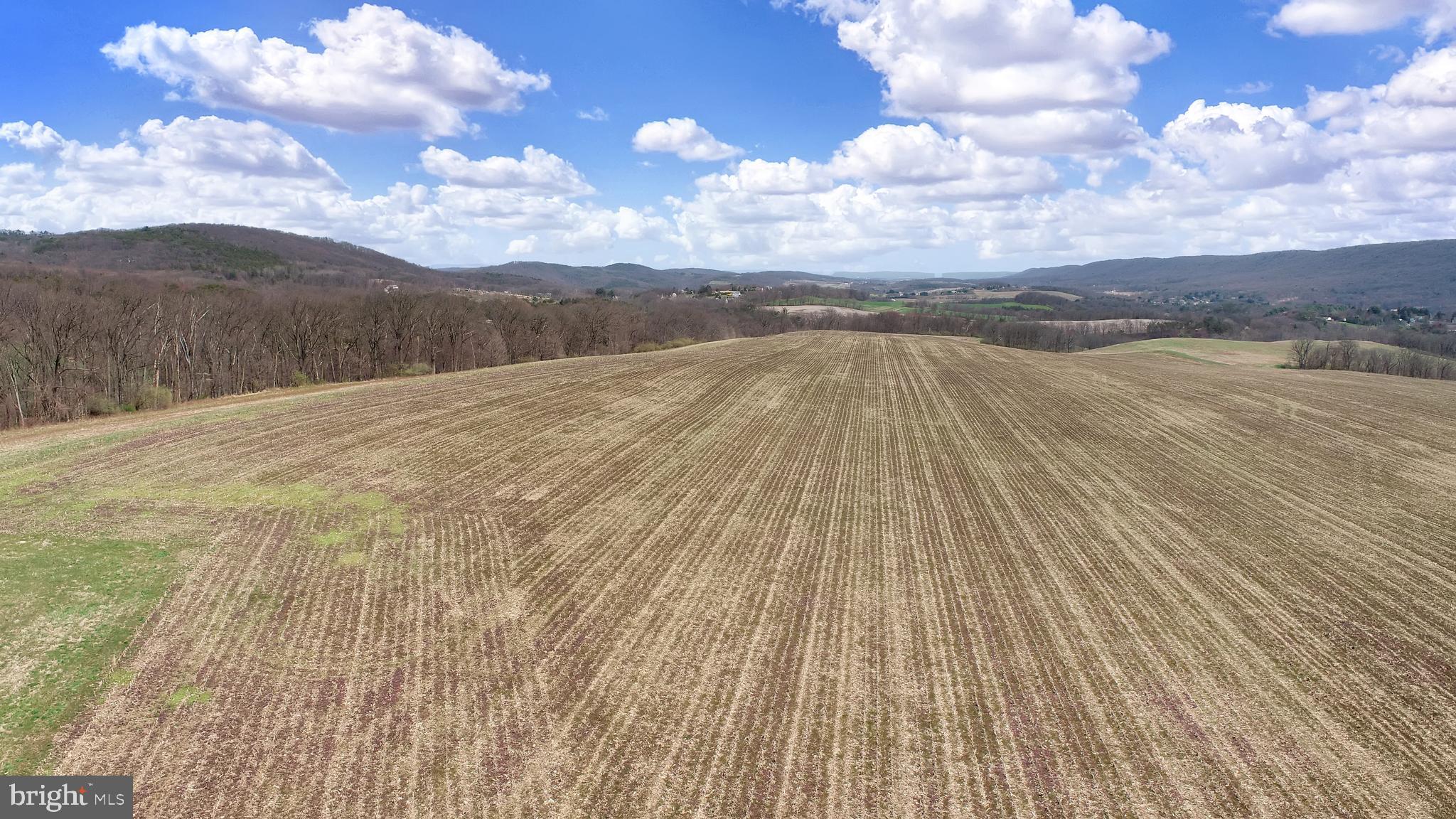 NONE AVAILABLE - Land