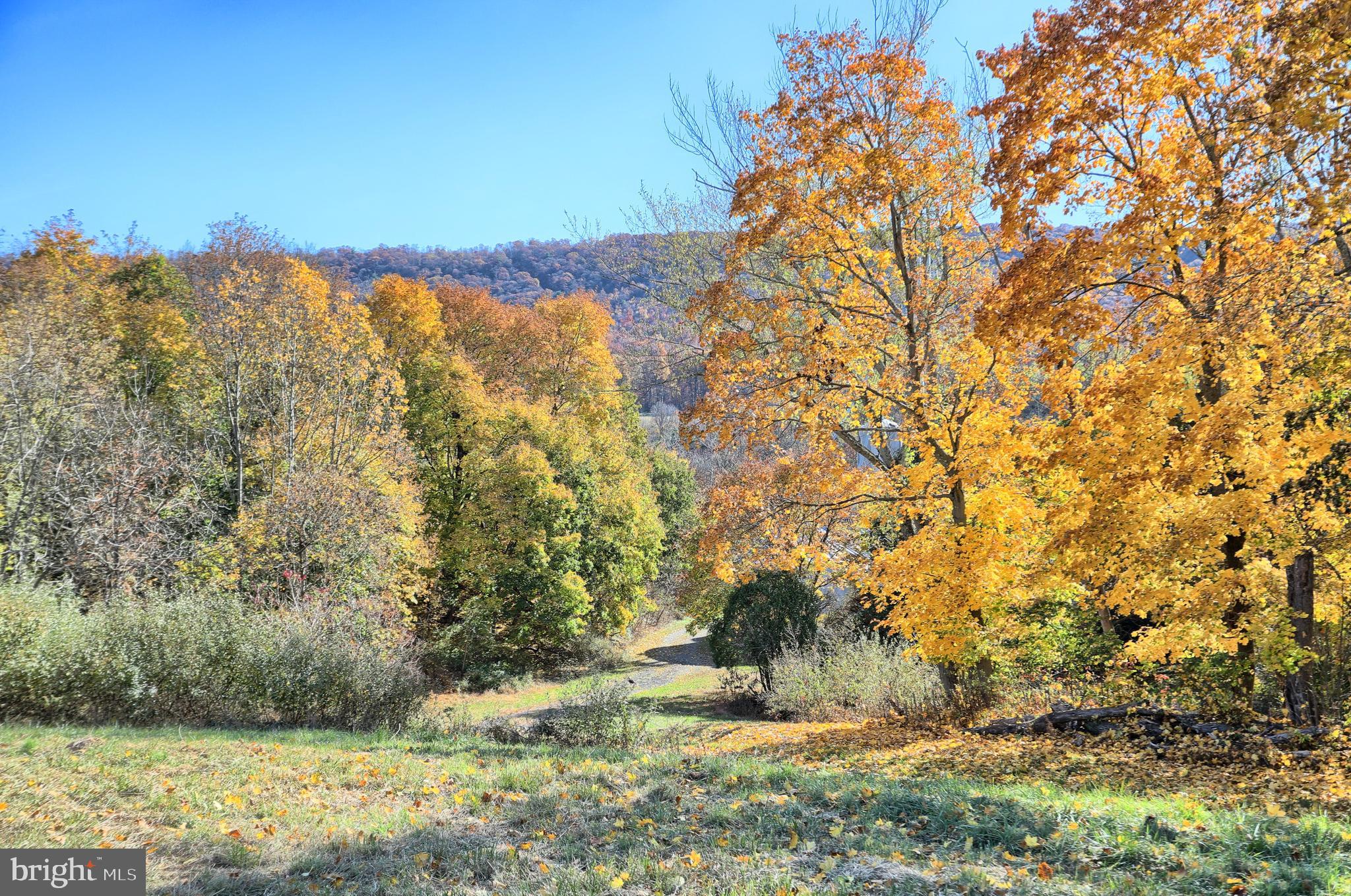 NONE AVAILABLE - Land