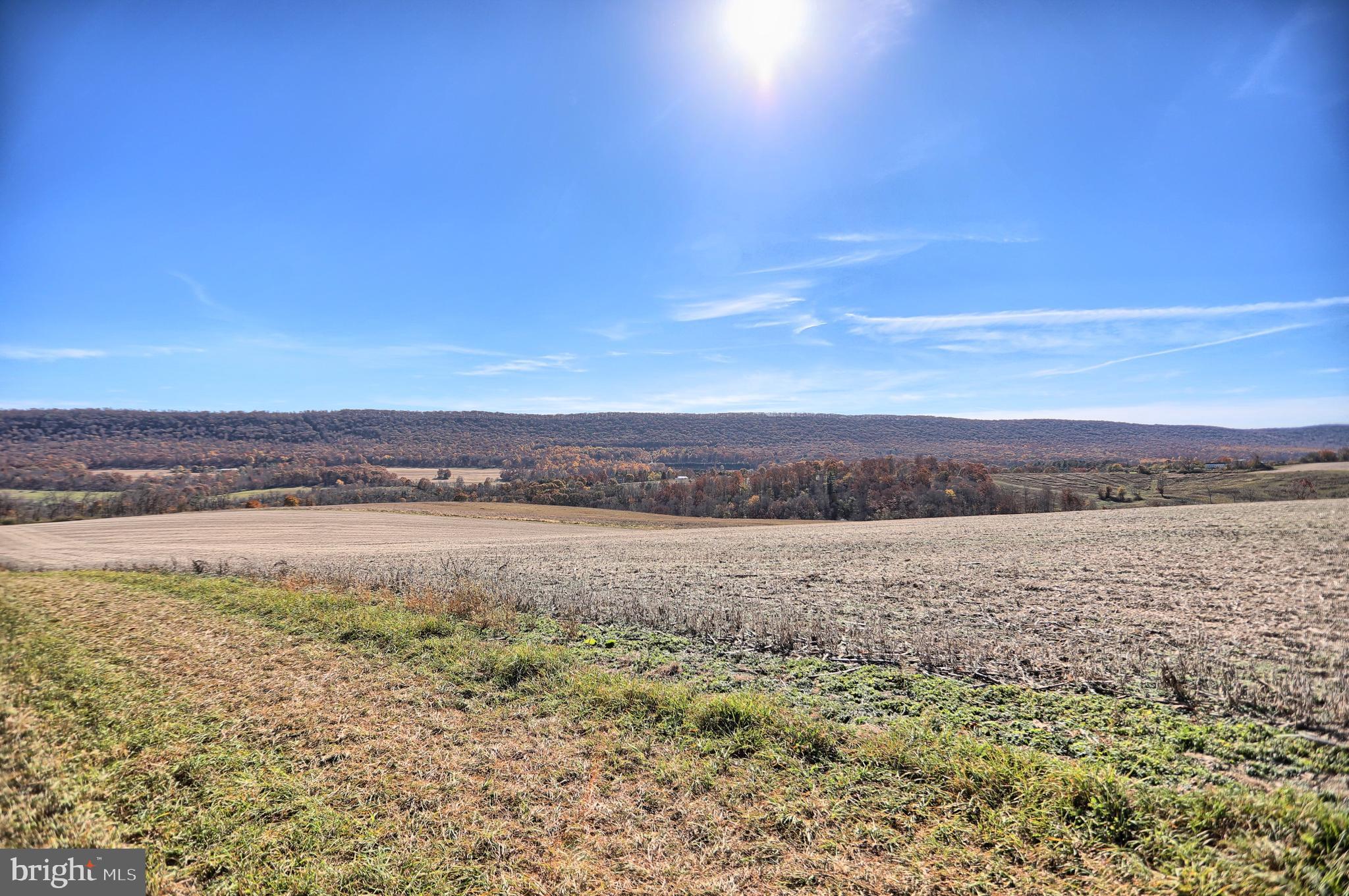 NONE AVAILABLE - Land