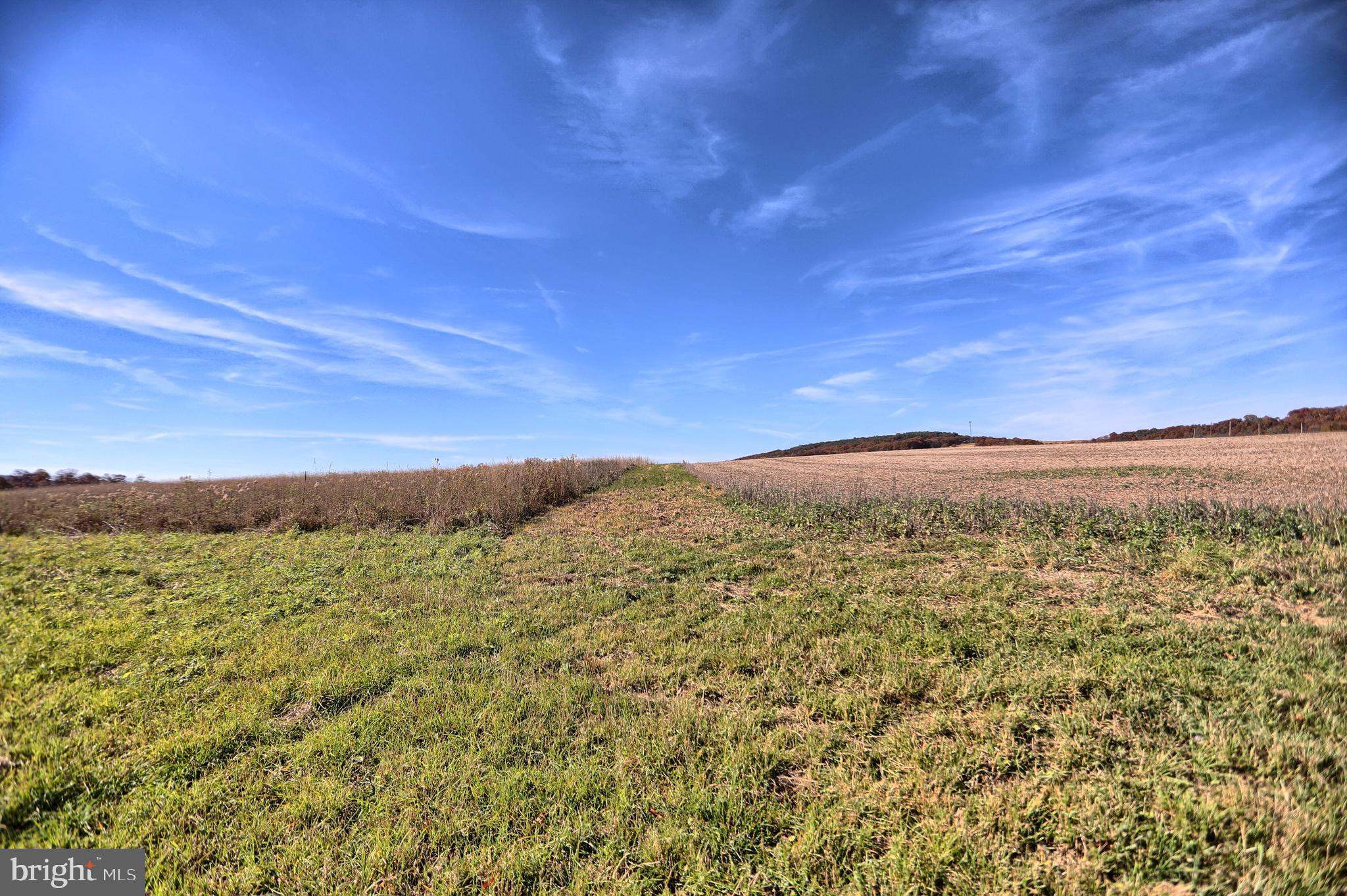 NONE AVAILABLE - Land