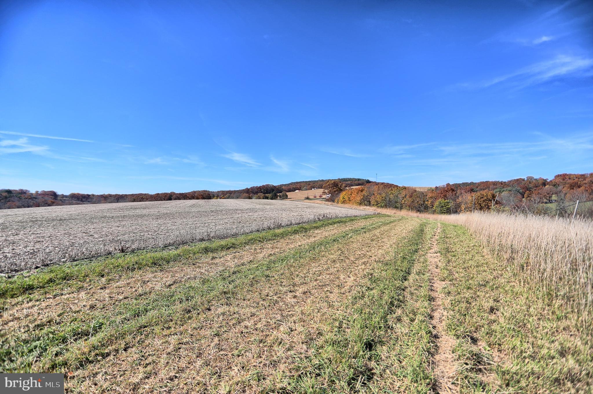 NONE AVAILABLE - Land