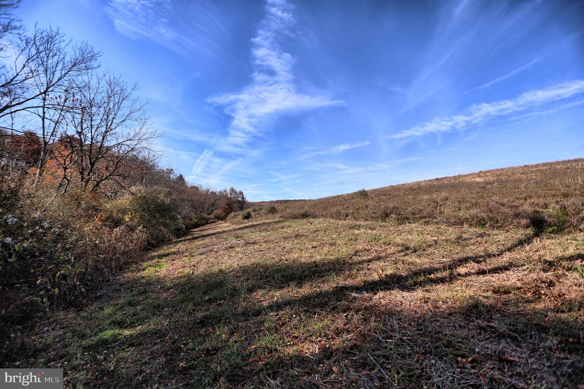 NONE AVAILABLE - Land