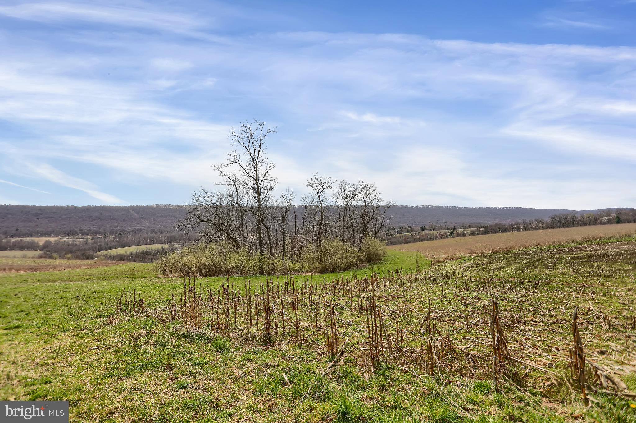 NONE AVAILABLE - Land