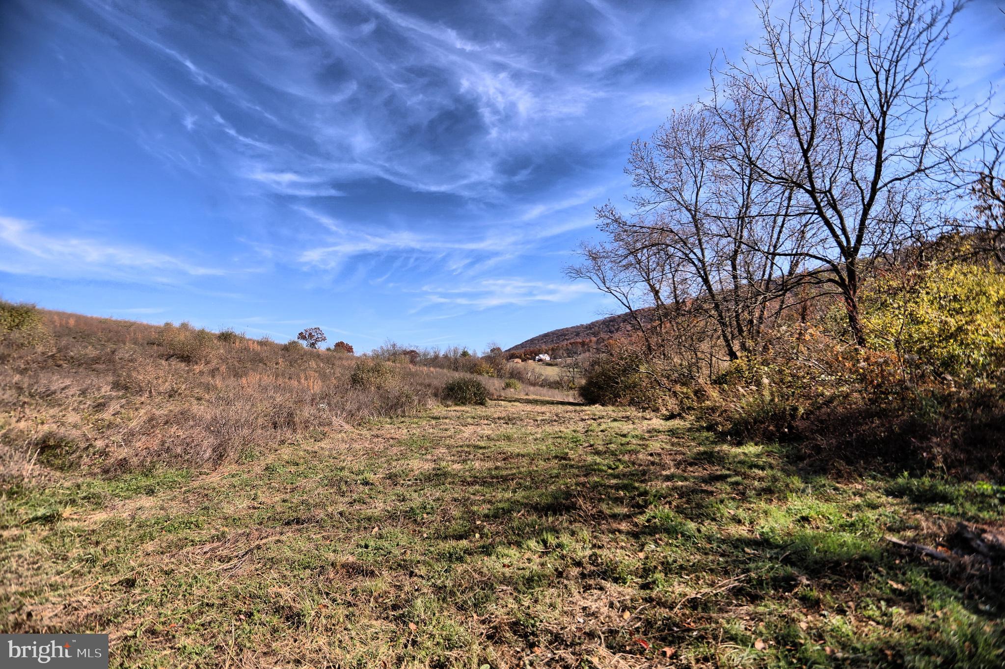 NONE AVAILABLE - Land