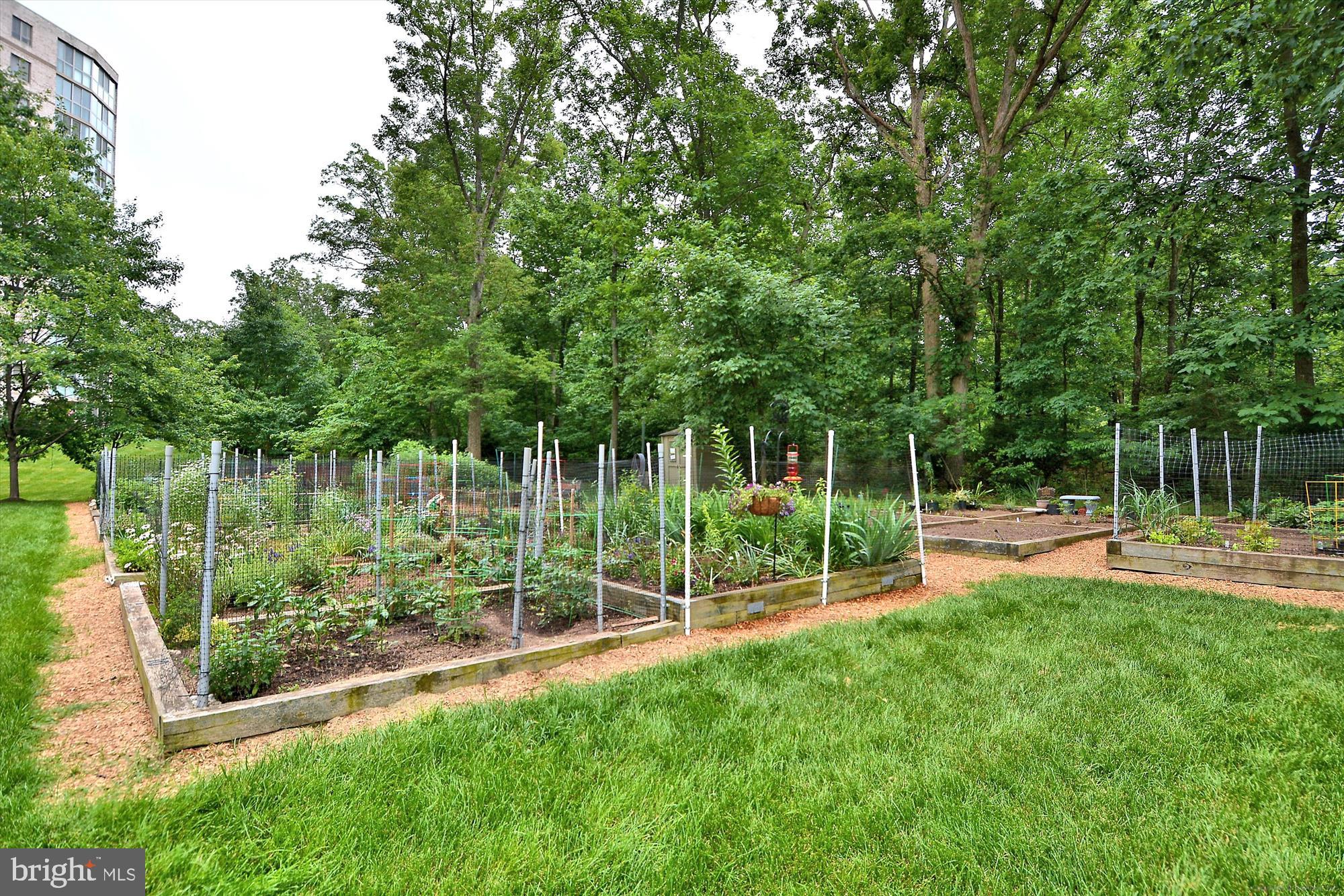 LANSDOWNE WOODS LEISURE WORLD - Residential