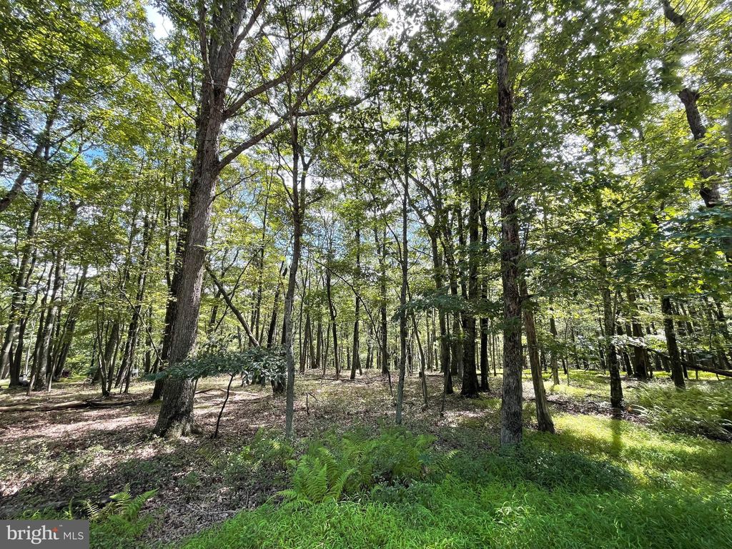 Photo of 117 Spring Mountain Drive, ZION GROVE, PA 17985 (MLS # PASK2023162)