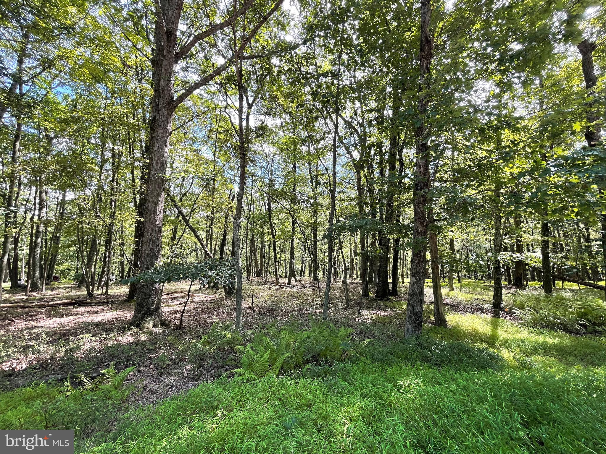 117 SPRING MOUNTAIN DRIVE