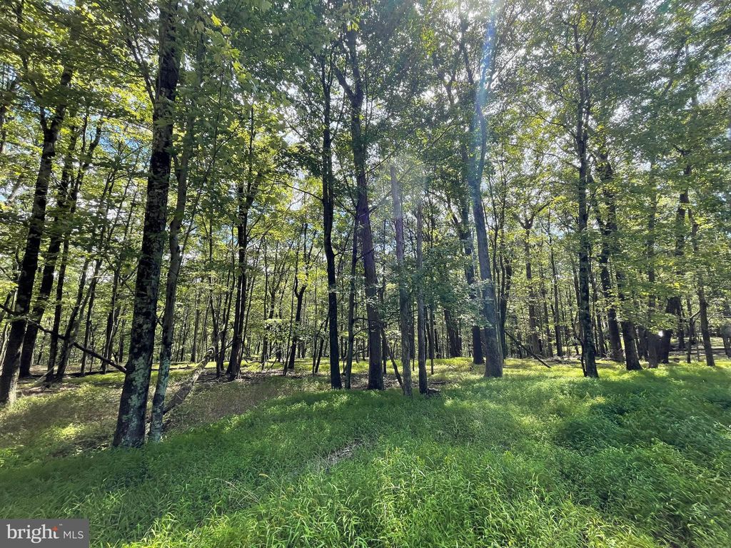 Photo of 117 Spring Mountain Drive, ZION GROVE, PA 17985 (MLS # PASK2023162)