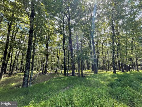 117 SPRING MOUNTAIN DRIVE ZION GROVE PA 17985