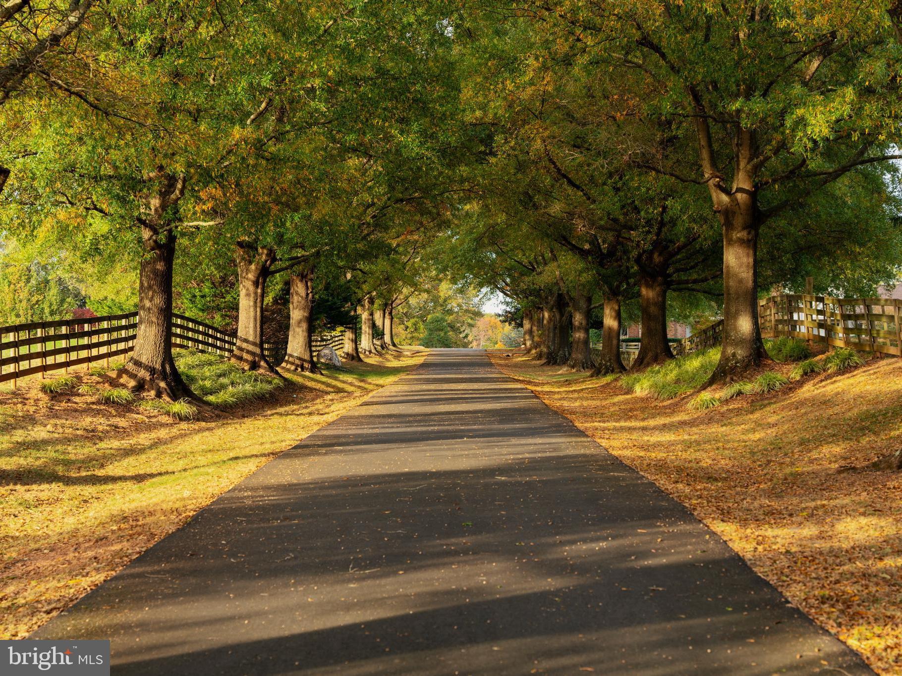 WILLOW OAKS - Residential