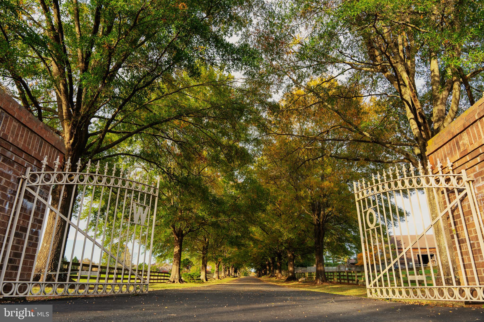 WILLOW OAKS - Residential
