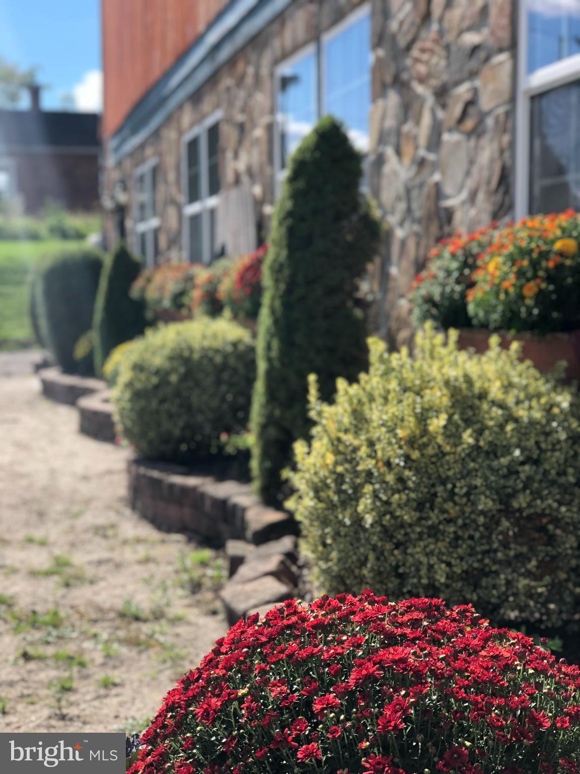 NONE AVAILABLE - Farm