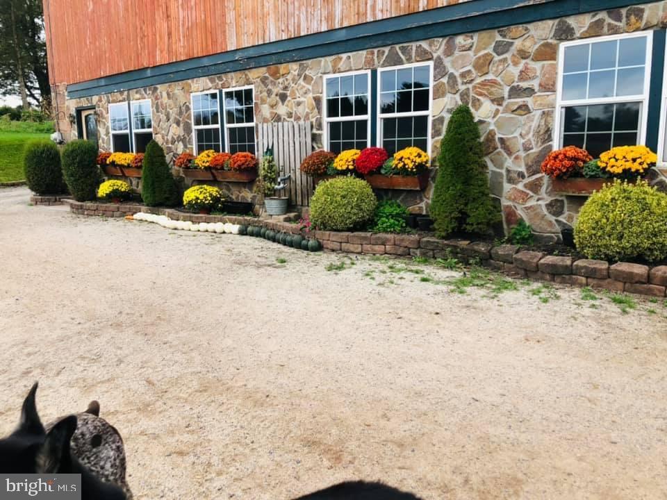 NONE AVAILABLE - Farm