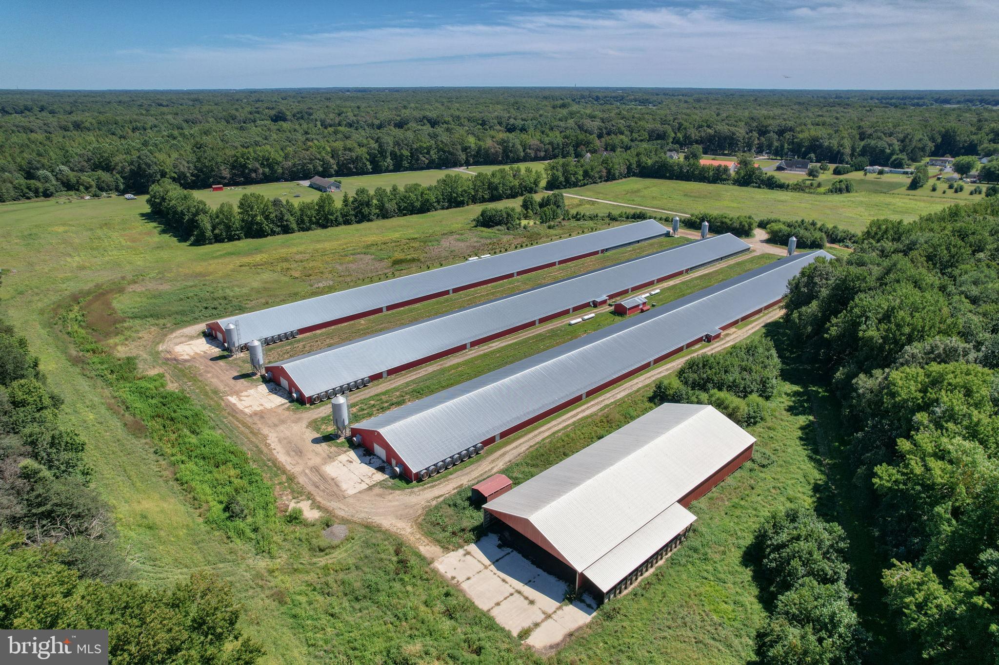 NONE AVAILABLE - Farm