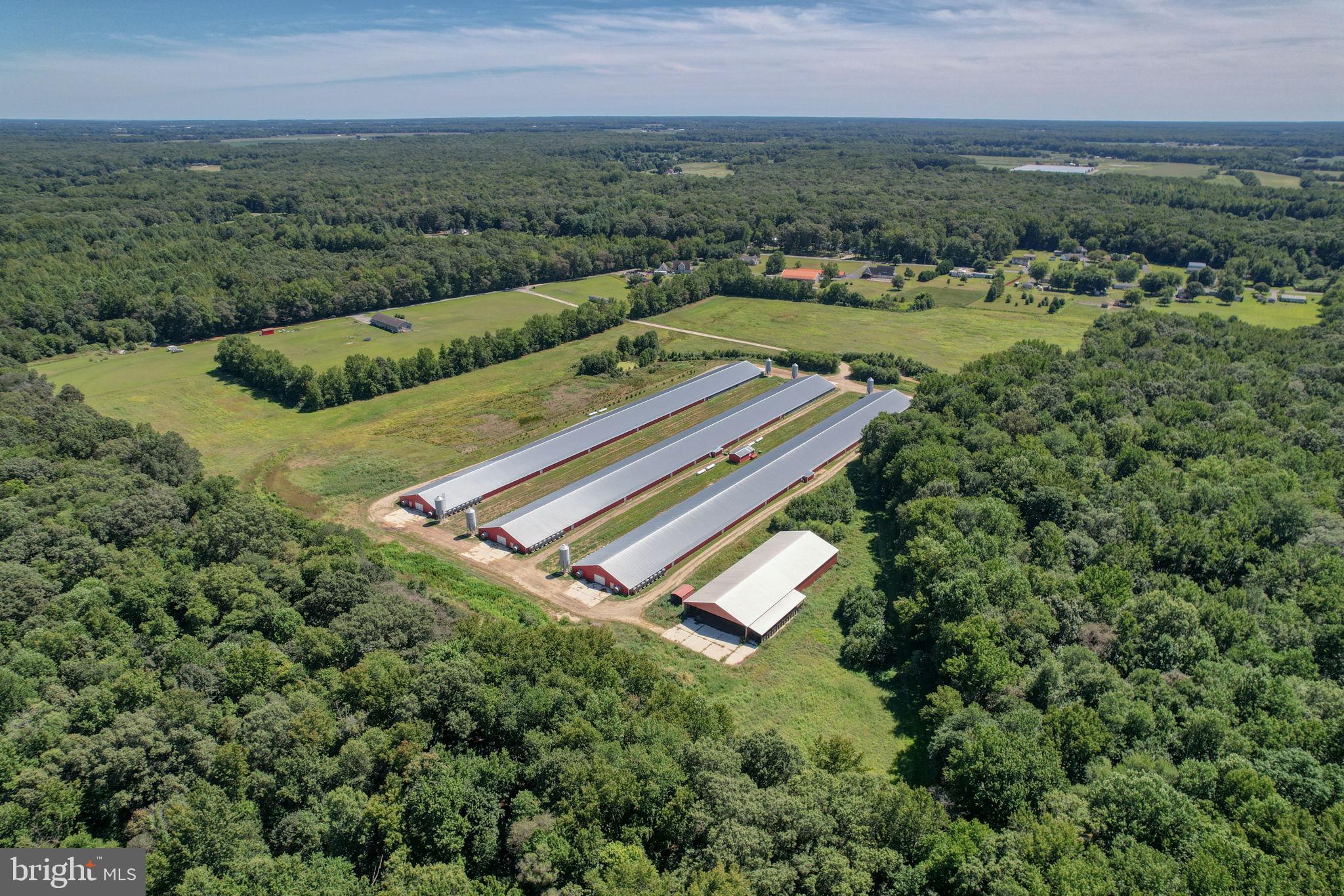 NONE AVAILABLE - Farm