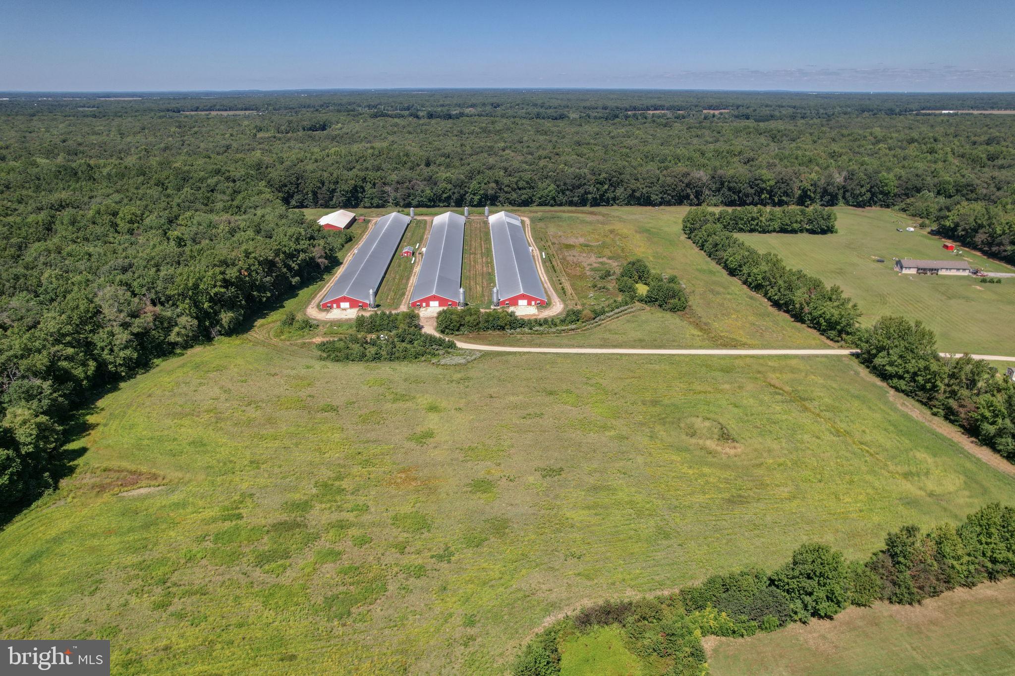 NONE AVAILABLE - Farm