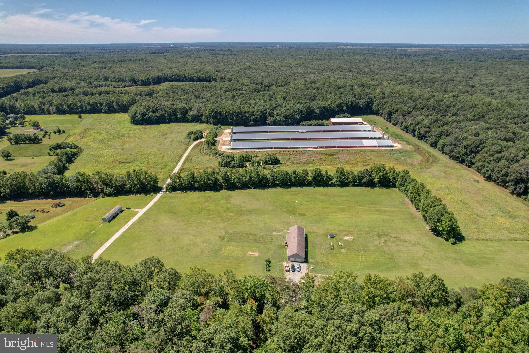 NONE AVAILABLE - Farm