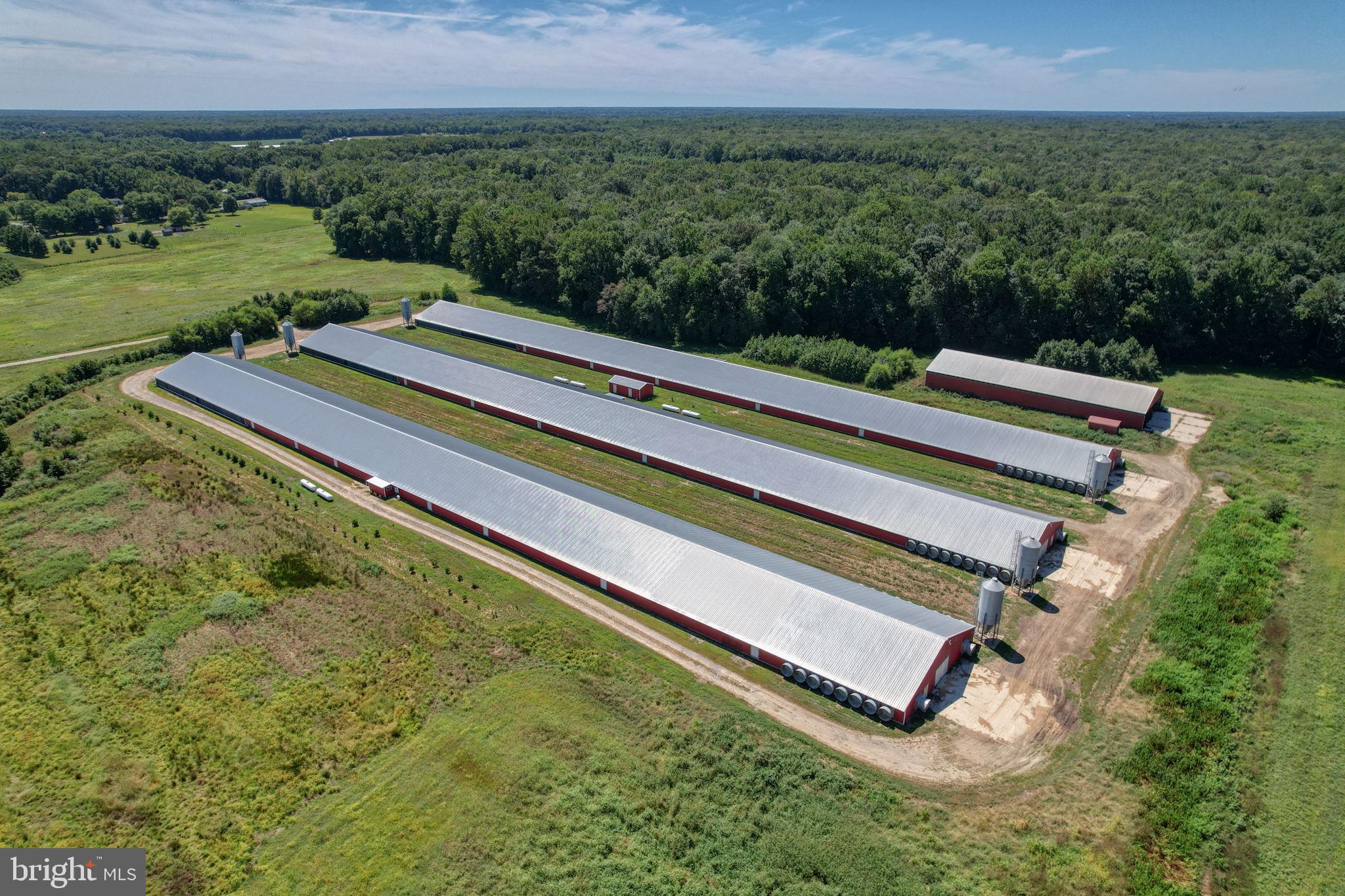 NONE AVAILABLE - Farm